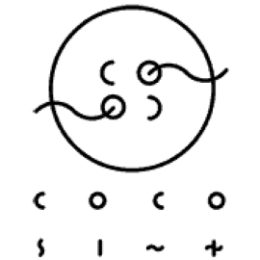 Logo de Cocosint